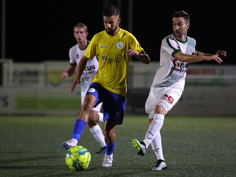 Brusk Er probeert zich door te zetten. (© foto Jorghé Van Hecke)